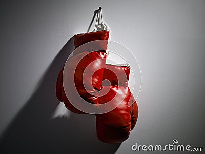 Red Boxing Gloves