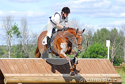 Red chestnut horse jumping