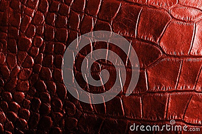 Red crocodile textured leather