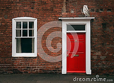 Red Door and owl