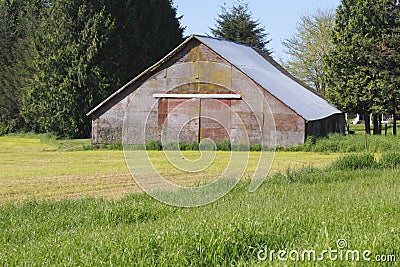 A red-Faded Barn on a Yellow Field