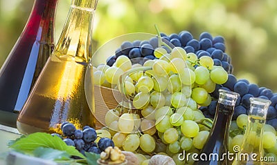 Red and green grapes with wine