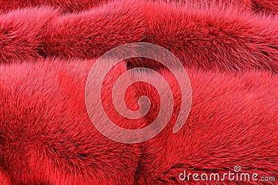 Red hairy fur texture
