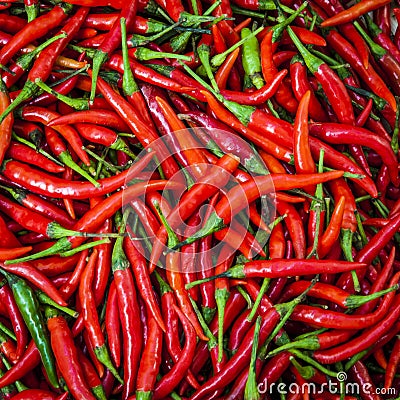 Red hot chili pepper for background