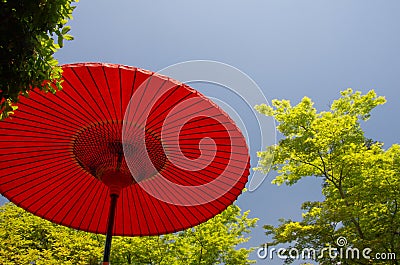 Red Japanese umbrella (parasol)