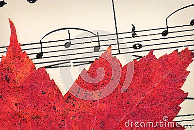 Red Leaf on Vintage Music