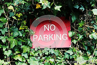 Red No Parking Sign