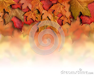 Red Orange Fall Leaves Background Border