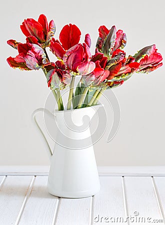 Red parrot tulips