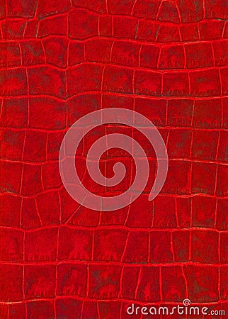 Red reptile leather imitation texture