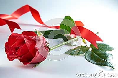 Red Rose Flower With Red Ribbon