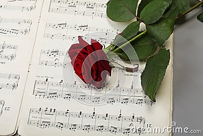 Red rose and old notes Sheet music