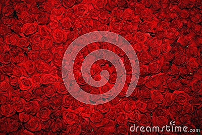 Red roses background