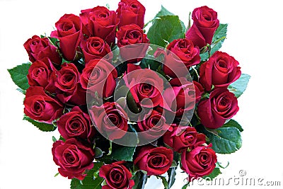 Bunch Of Red Roses Stock Photos - Image: 56