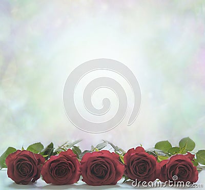 Red roses on a misty bokeh background
