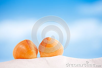 Red sea shell with ocean , beach and seascape
