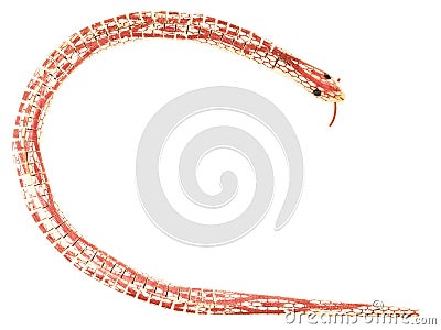 Red snake toy
