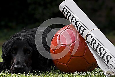 Red Soccer Ball With Newspaper Headline & Watchdog