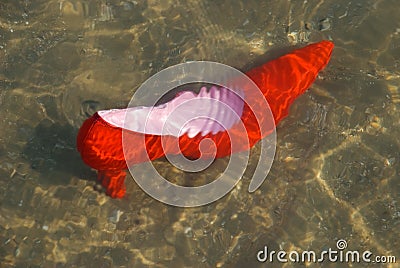 Red stiletto in water