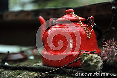 Red Tea Kettle