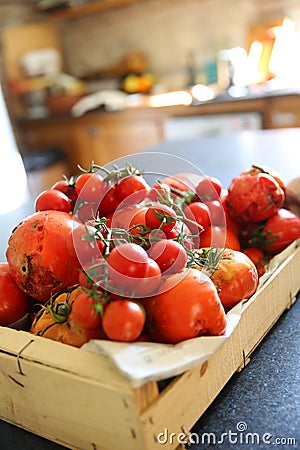 Red tomatoes from garden in box