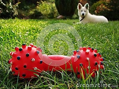 Red toy with dog