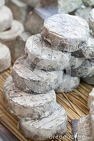 Refined French goat cheese at the specialty cheese shop