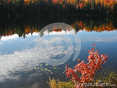 Reflection of clouds and maples in a lake