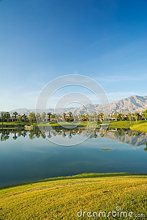 Reflection of Mountains and Palm Trees