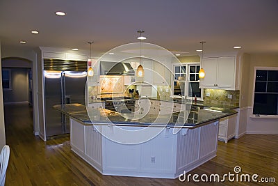 Remodeled Luxurious Modern Kitchen