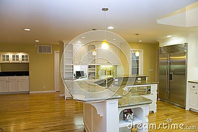 Remodeled Luxurious Modern Kitchen