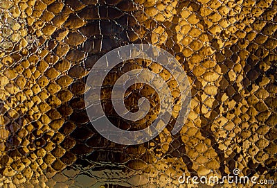 Reptile skin pattern background