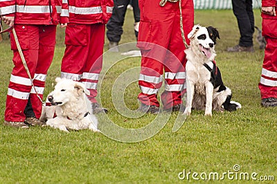 Rescue Dog Squadron