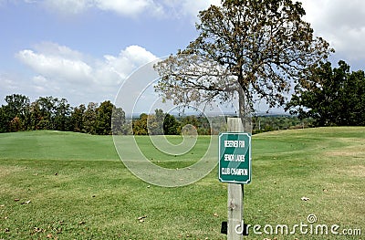 Reserved Parking For Exclusive Senior Ladies Champion