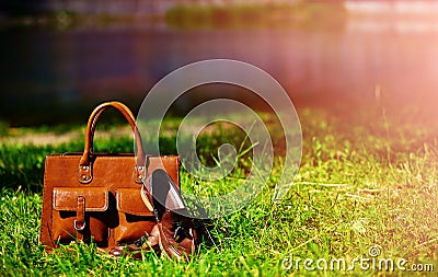 Retro brown shoes and man leather bag in bright colorful summer grass