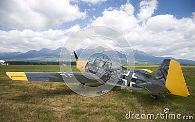 Retro sky team - demonstration in the airshow