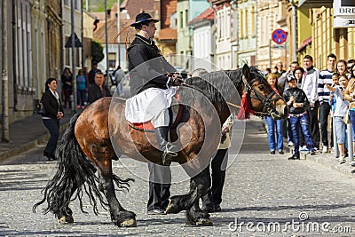 Rider on brown dray-horse