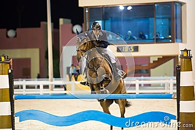 Rider competes in horse jumping show