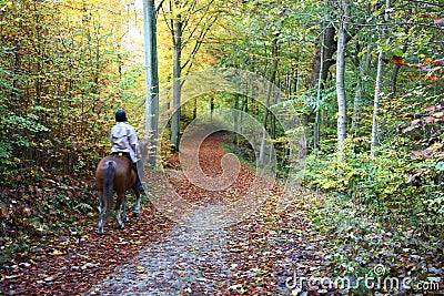 Rider on horse