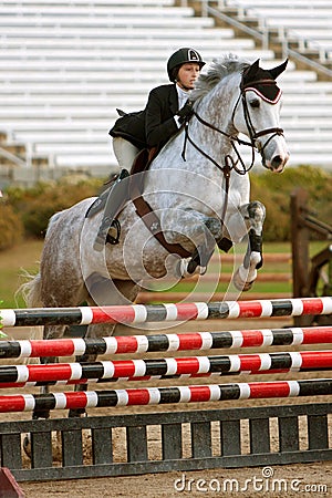 Rider And Horse Clear Hurdle in Equestrian Event