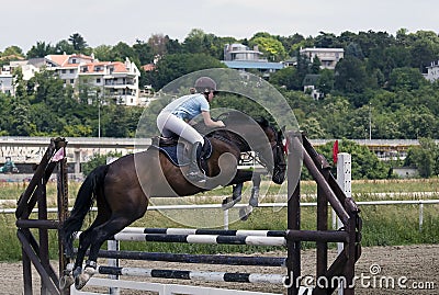 Rider and horse jumping over the barrier