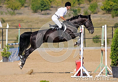 Rider in the jumping show