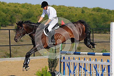 Rider in the jumping show