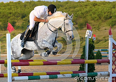 Rider in jumping show