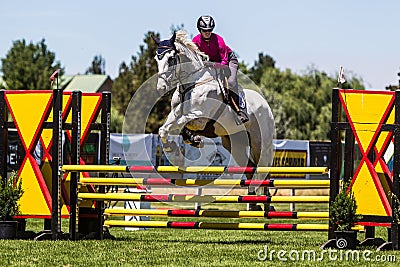 Rider Jumps Horse At Horse Show