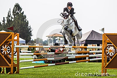 Rider Jumps Horse At Horse Show