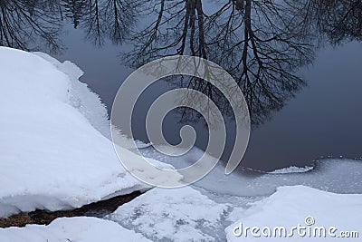 Rim ice and tree reflections