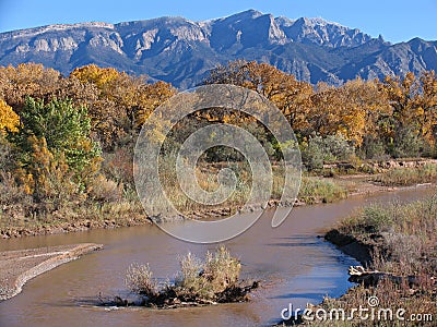 Rio Grande River Royalty Free Stock Photogra