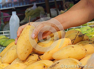 Ripe mango in the market