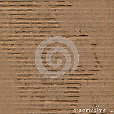 Ripped torn cardboard texture background